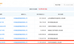 上海嘉闵线项目塌陷：中国中铁子公司40天身负23起执行案