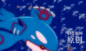 美国一小岛现大量蓝色奇异生物！像极了《阿凡达》里的魅影飞龙