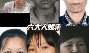 梅姨”落网！潜逃20年终被抓，真实容貌大变样，模拟画像相似度不足三成