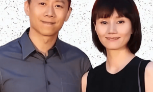 正式官宣！47 岁袁泉再破天花板，夏雨出力不少，娱乐圈地位又变了，实力和婚姻，缺一不可