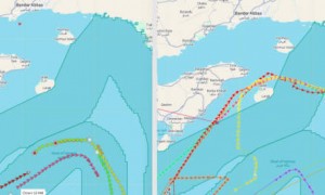 “伊朗开了条安全通道，有油轮付了200万美元过路费”