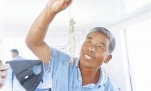 盐汪子虾——天津人的吃虾密码 吃海鲜长大的“海鲜”