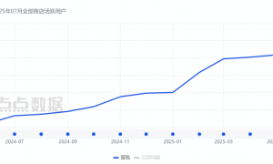 “AI应用元年”赛程过半，DeepSeek流量红利殆尽，国产头部AI应用现状与挑战