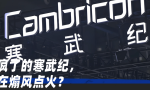 石头科技“贪大”，昌敬“不务正业”