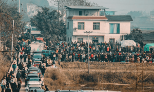 评论丨从“摇人按猪”到跟风模仿，复刻、走味，还是出新？