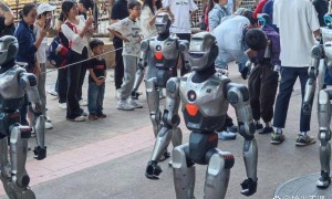 原创 
            2026机器人赛道爆发！高盛8家重仓股揭秘，4家翻倍2家暗藏机会