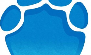 印度陆军举行“共和国日”阅兵式彩排，传统艺能摩托“叠罗汉”准时上线