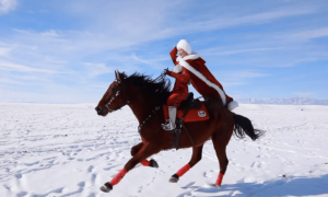 “网红女县长”贺娇龙疑发生意外，新疆多方回应：“人还在医院，没有去世”