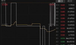 广州富力地产董事长出境时被拦截，法院回应“案件办理中”，知情人士称可能涉及两个方面原因