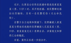 四川警方通报：命案逃犯索某某某开枪拒捕致民警1死1伤后，与兄长畏罪自杀